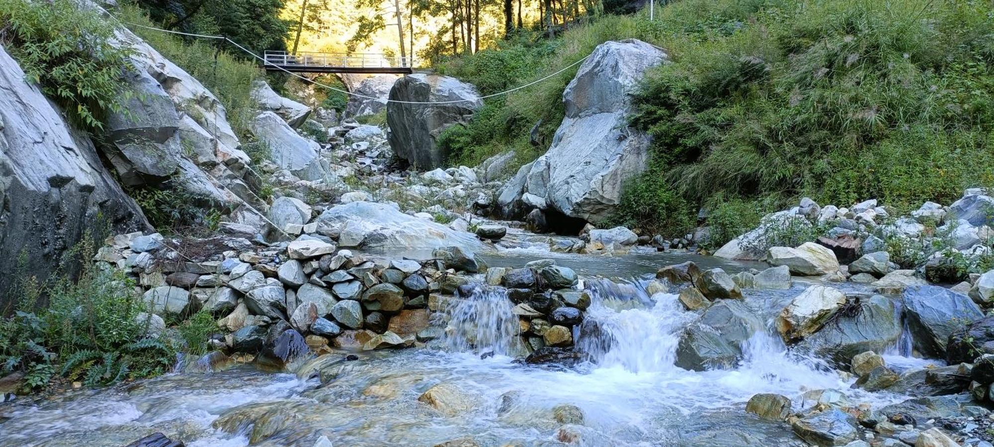 Dog N Hill Hotel Kasol Exterior foto