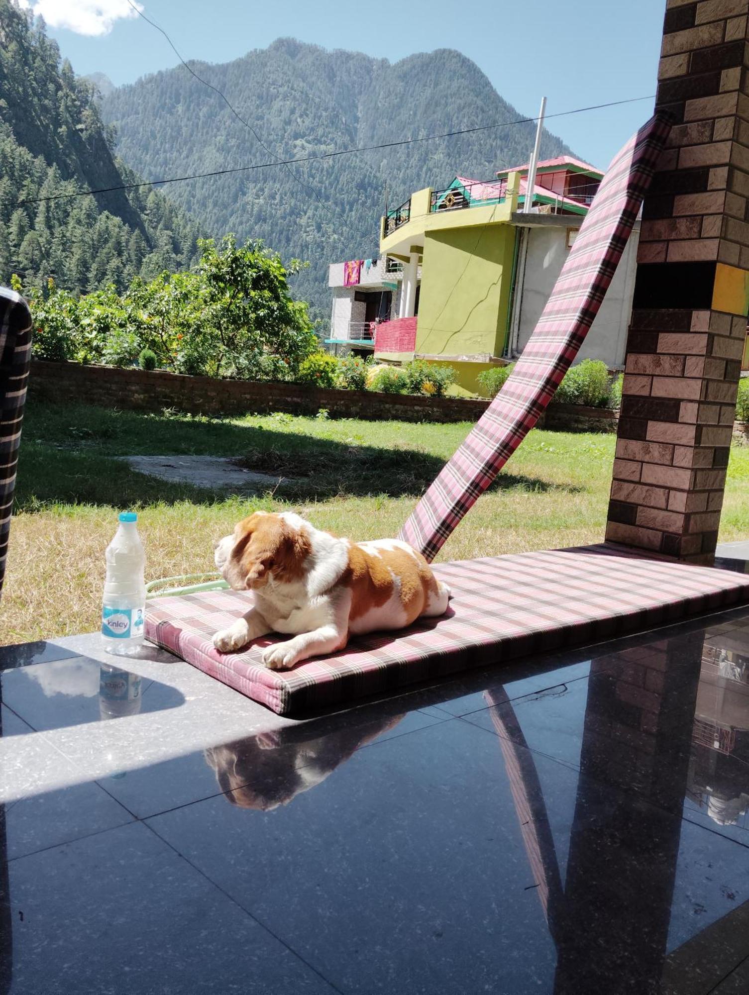 Dog N Hill Hotel Kasol Exterior foto