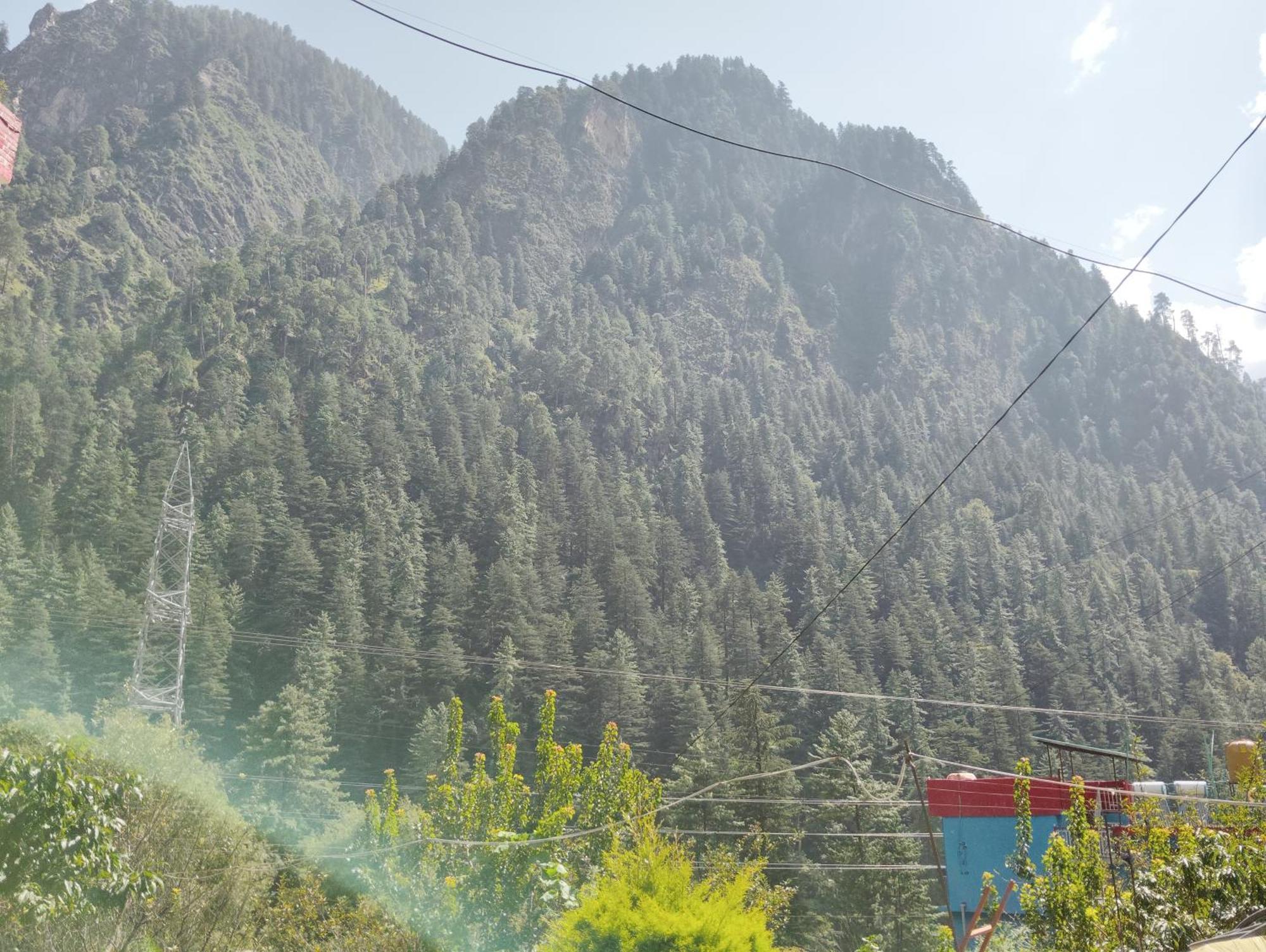 Dog N Hill Hotel Kasol Exterior foto